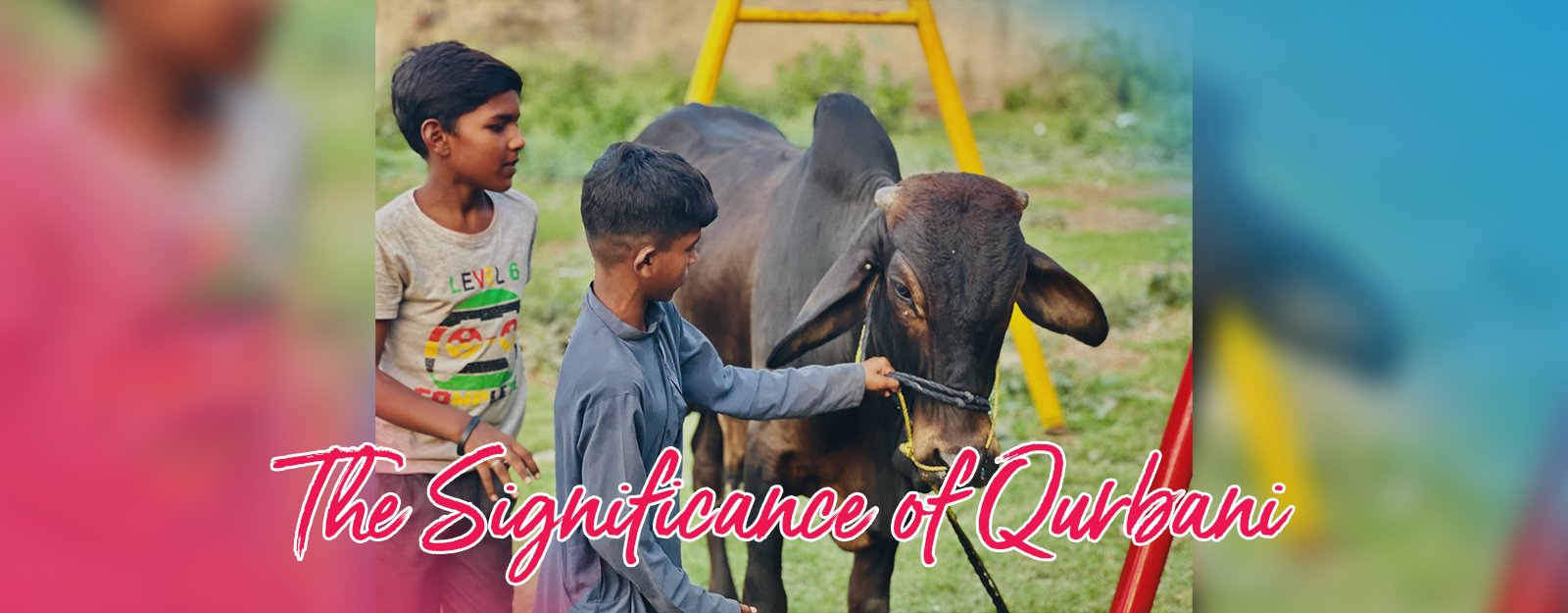The Significance of Qurbani