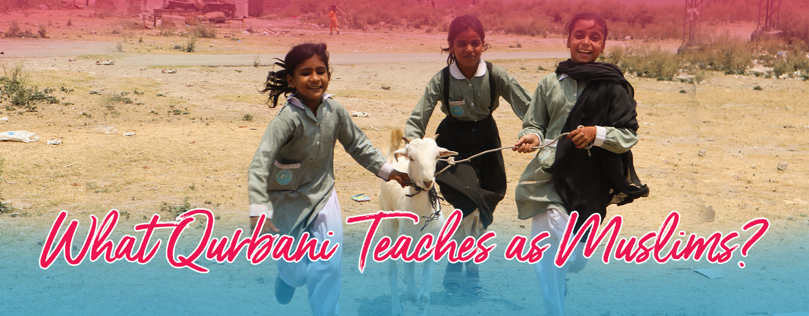 What Qurbani Teaches as Muslims