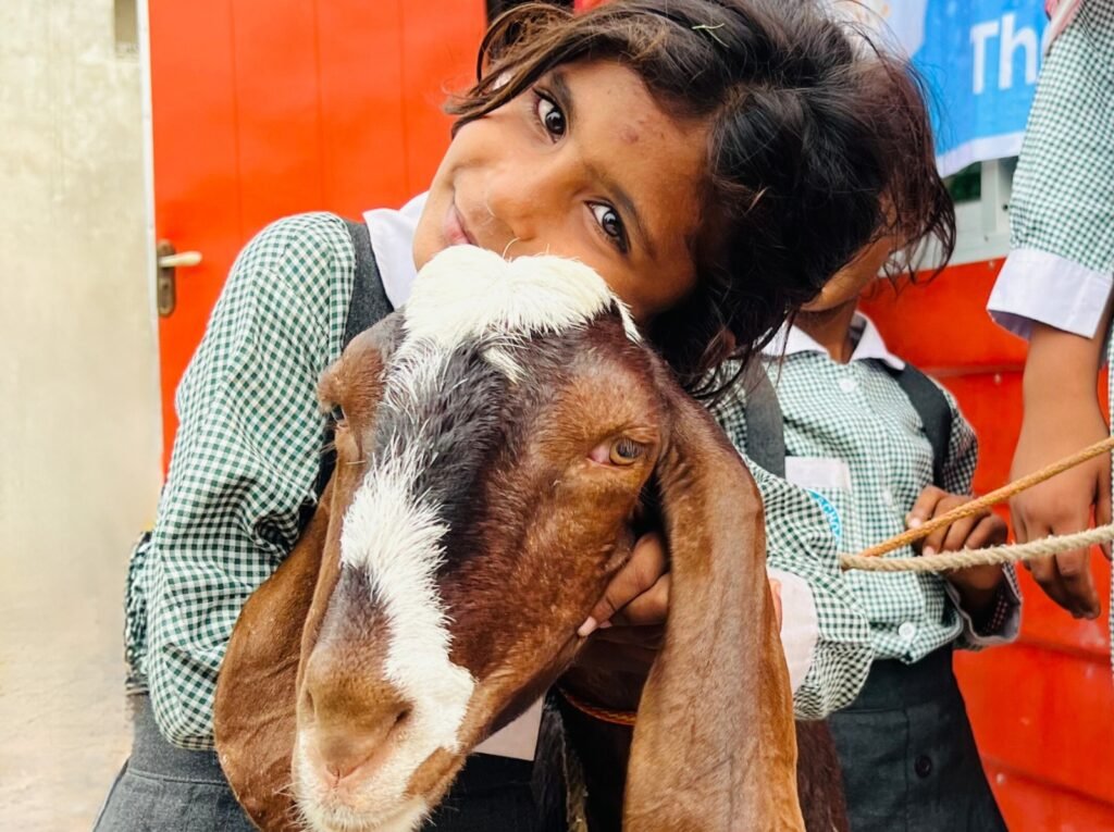 Eid ul Adha